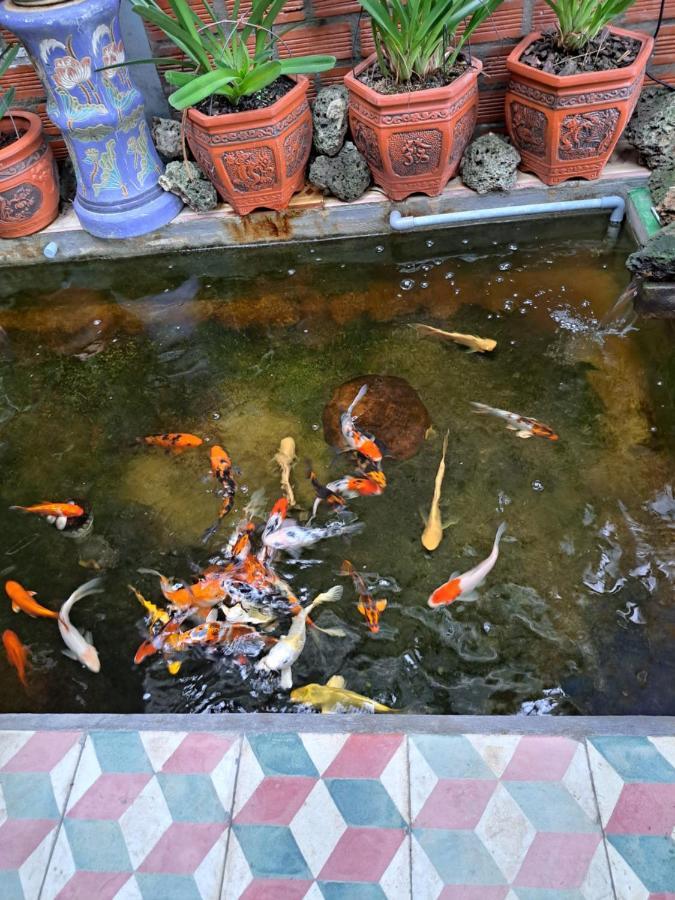 Hoa Lan Motel & Homestay Giong Tu Dien Экстерьер фото